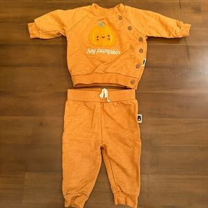 Rabbit Bear Matching Pumpkin Set